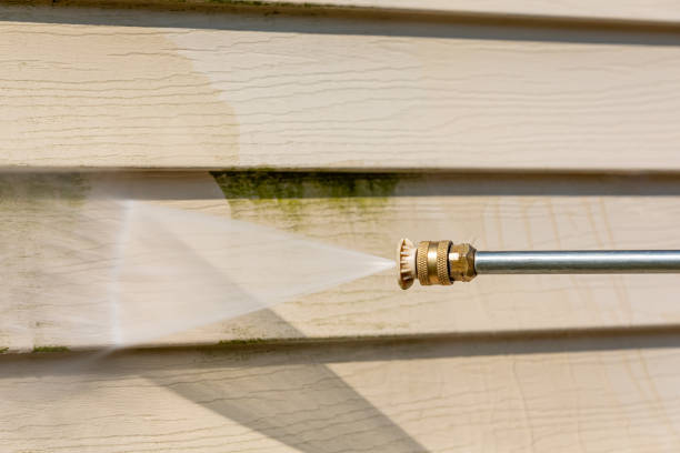 Best Affordable Pressure Washing  in Asbury Lake, FL