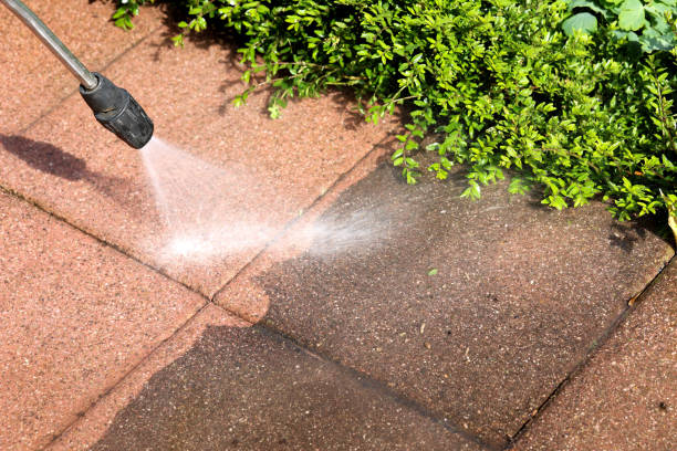 Best Roof Power Washing Services  in Asbury Lake, FL